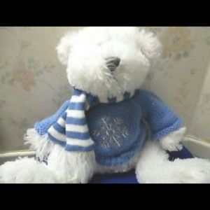 PERFECT little winter teddy bear 🐻