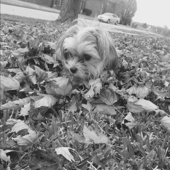 Meet your Posher, Faith - Picture 1 of 1