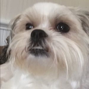 Meet your Posher, Caitlynn