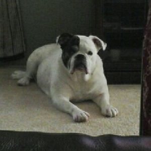 Meet your Posher, Christine