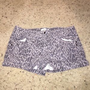 Cheetah shorts