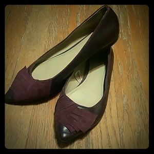 Express Pointed Toe Flats