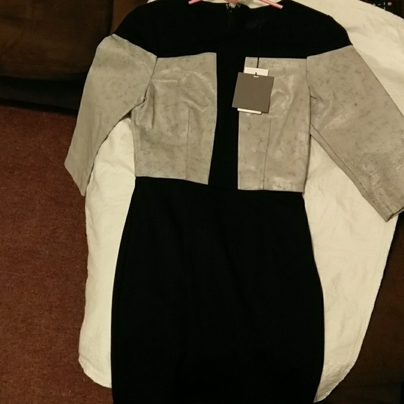 Rare ASOS NWT Dress - Picture 3 of 6