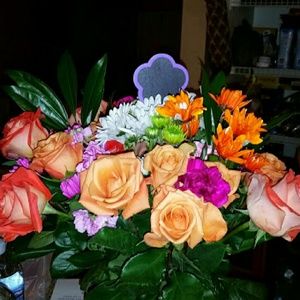 Meet your Posher, Rena