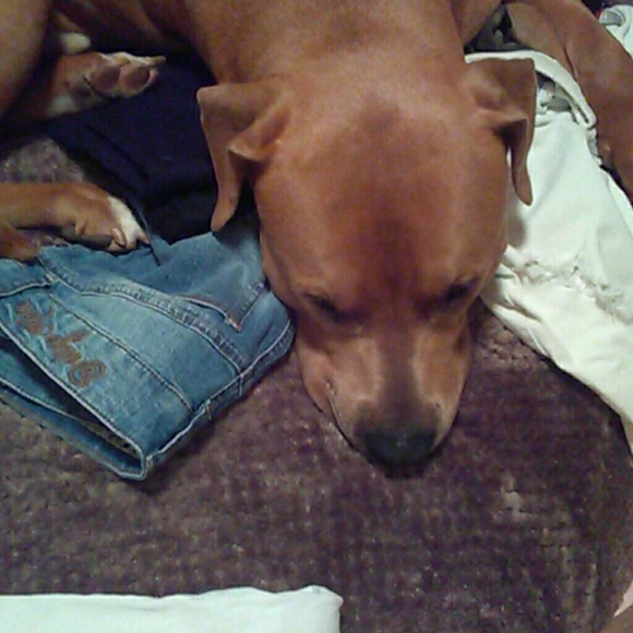 Meet your Posher, Jessica - Picture 2 of 2