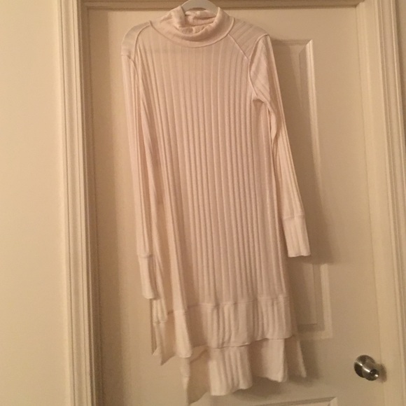 Free People Sweater Dresd