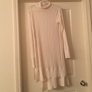 Free People Sweater Dresd
