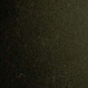 Meet your Posher, Karina