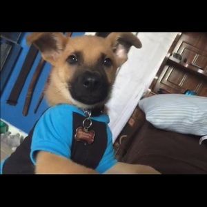 Meet your Posher, Chuchin