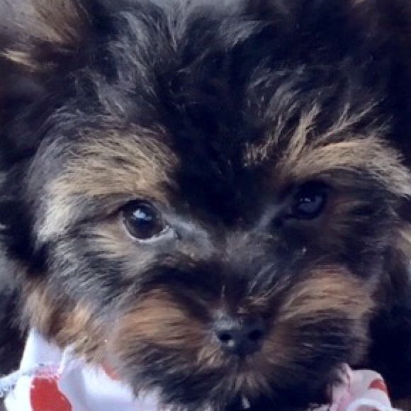 Meet your Posher, Joann