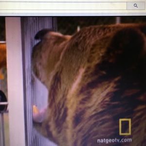 Meet your Posher, Vivek