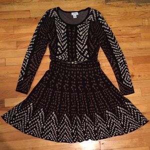 Fit and flare long sleeve sweater dress