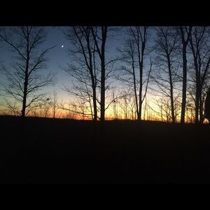 Meet your Posher, Paige