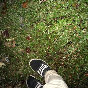 Meet your Posher, Zac