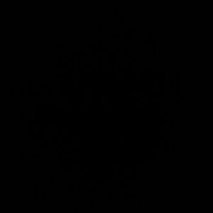 Meet your Posher, Vickie