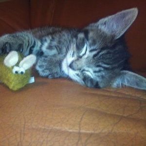 Meet your Posher, Michelle