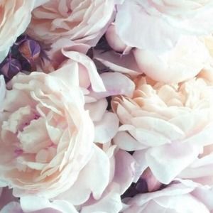 Meet your Posher, Mina