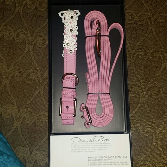 Dog collar & leash set