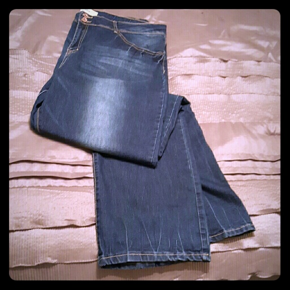 Size 25 plus size vintage jeans from alloy