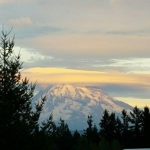 Meet your Posher, Leesa