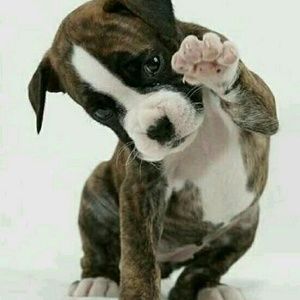 Meet your Posher, Kelley