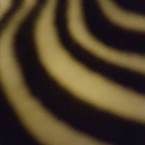 Meet your Posher, Carol