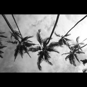 Meet your Posher, Cassidy