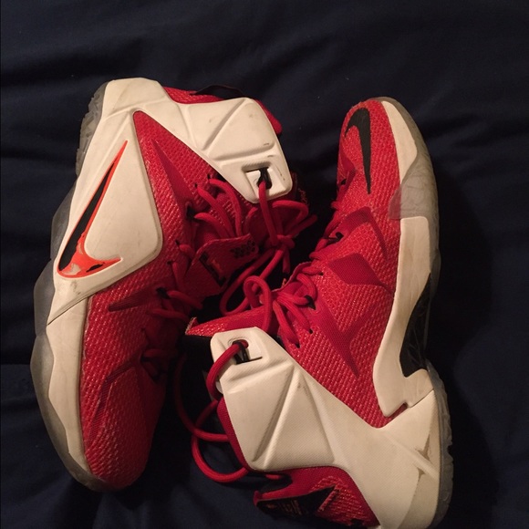 Lebron 12 " Heart of the Lion"