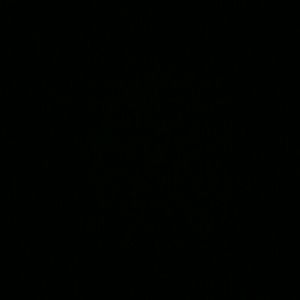 Meet your Posher, Jameis