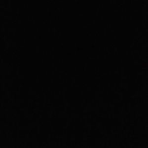 Meet your Posher, Corianne