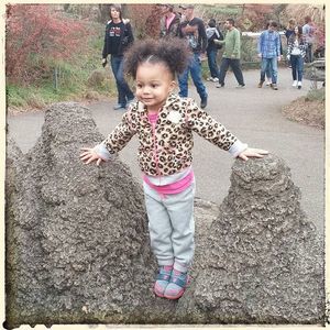 Meet your Posher, Holly