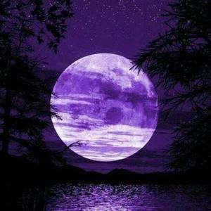 Meet your Posher, Alexandria