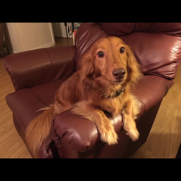 Meet your Posher, Candice