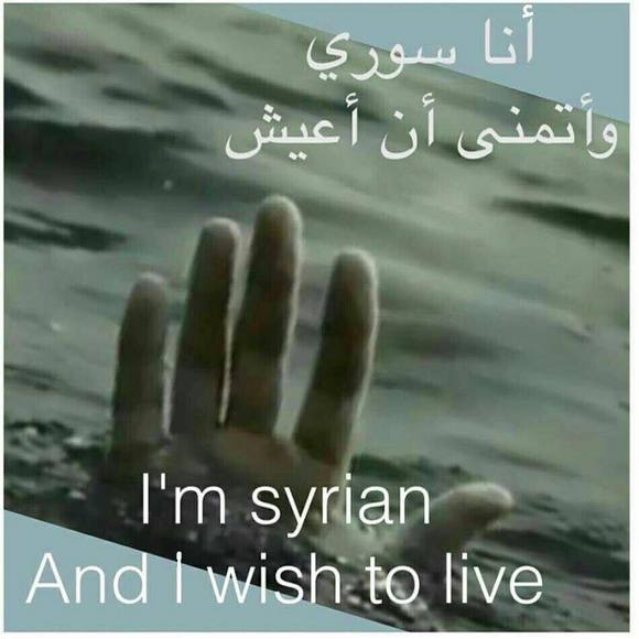 Meet your Posher, Layla