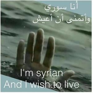 Meet your Posher, Layla