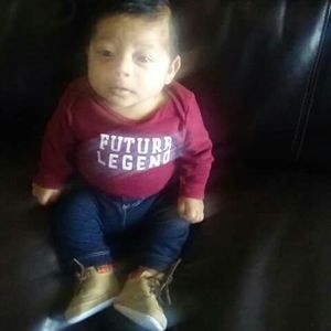 Meet your Posher, Hector