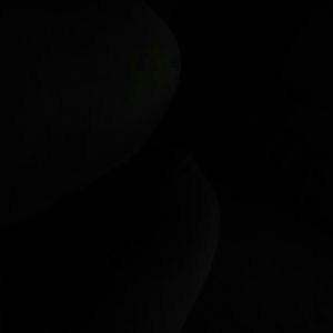 Meet your Posher, Shawnda