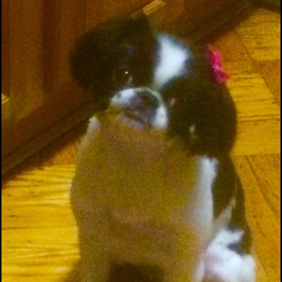 MEET THE POSHER - Picture 4 of 8