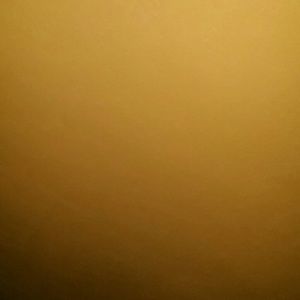 Meet your Posher, Pedro