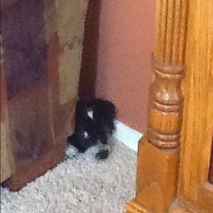 Meet your Posher, Pamela