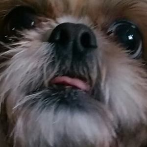 Meet your Posher, Brendan