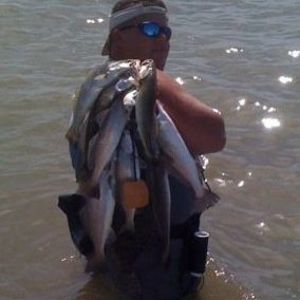 Meet your Posher, Nicholas