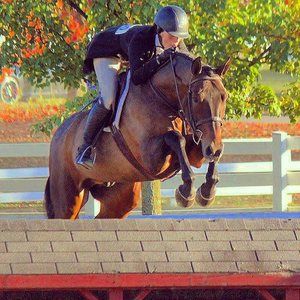 Meet your Posher, Brittany