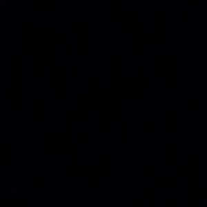 Meet your Posher, Cody