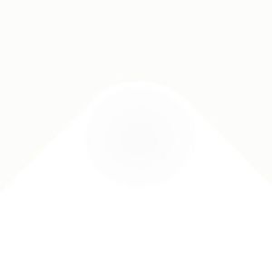 Meet your Posher, Dominick