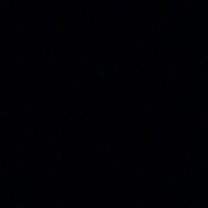 Meet your Posher, Jakiya