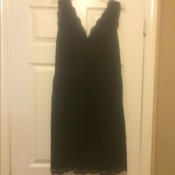 NWT LOFT Scalloped v neck lace dress