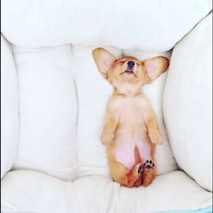 Meet your Posher, Sara