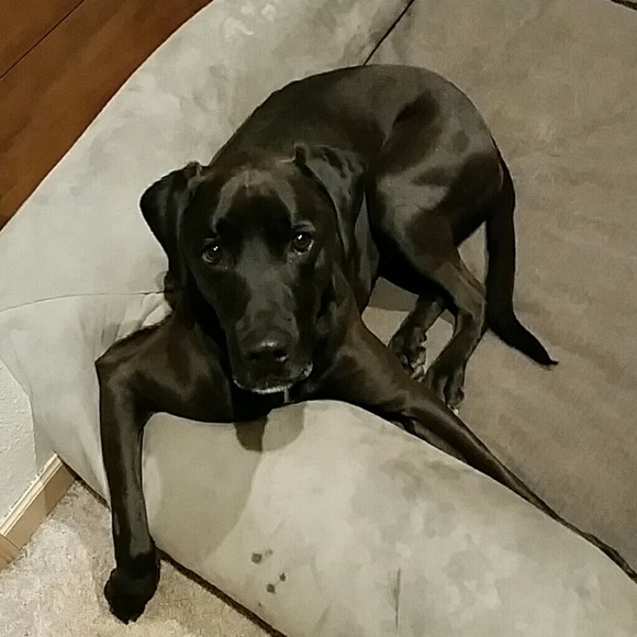 Meet your Posher, Jennifer - Picture 3 of 3