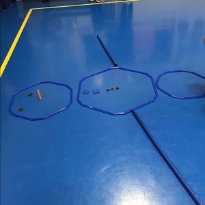 Meet your Posher, Darcey